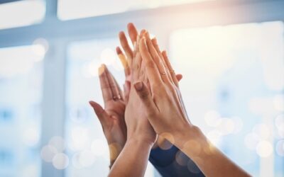 The 9 Core Traits of High-Performing Companies  Why Some Companies Outperform—And How You Can Too  By Susan Quinn